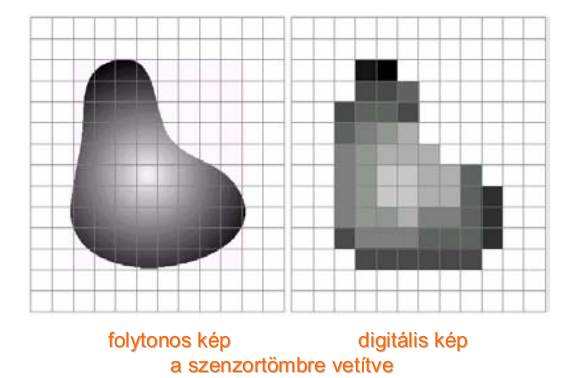 Mintavételezés