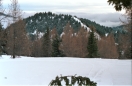 1994-apr_001.ppm