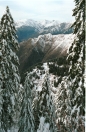 1994-feb_007.ppm