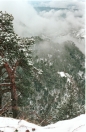 1994-feb_021.ppm