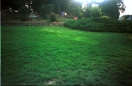 1995-nyar_020.ppm