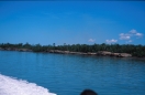 borneo_030.ppm