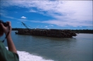 borneo_031.ppm