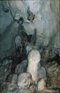 borneo_075.ppm