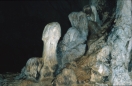 borneo_076.ppm