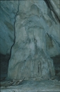 borneo_077.ppm