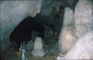 borneo_078.ppm
