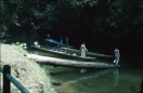 borneo_082.ppm
