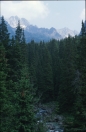 tatra-1988-1_005.ppm