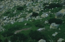 tatra-1988-1_013.ppm