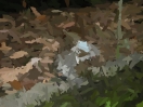 painted with brush at size 48X12